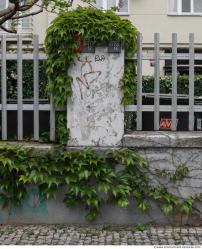 Photo Textures of Ivy